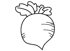 蘿卜簡筆畫圖片