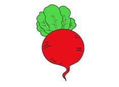 大紅蘿卜簡筆畫圖片含上色