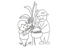 小朋友和爺爺在田里掰玉米的簡筆畫圖片