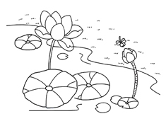 荷花池的簡筆畫圖片