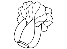 大白菜簡筆畫圖片