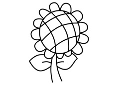 向日葵簡筆畫步驟畫法