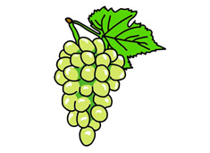 提子簡筆畫上色圖片