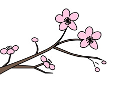 梅花枝葉簡筆畫圖片含上色