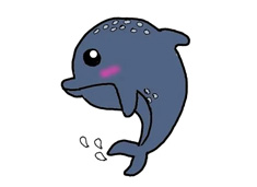 簡單的海豚簡筆畫圖片含上色