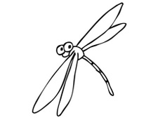 簡單的蜻蜓簡筆畫圖片