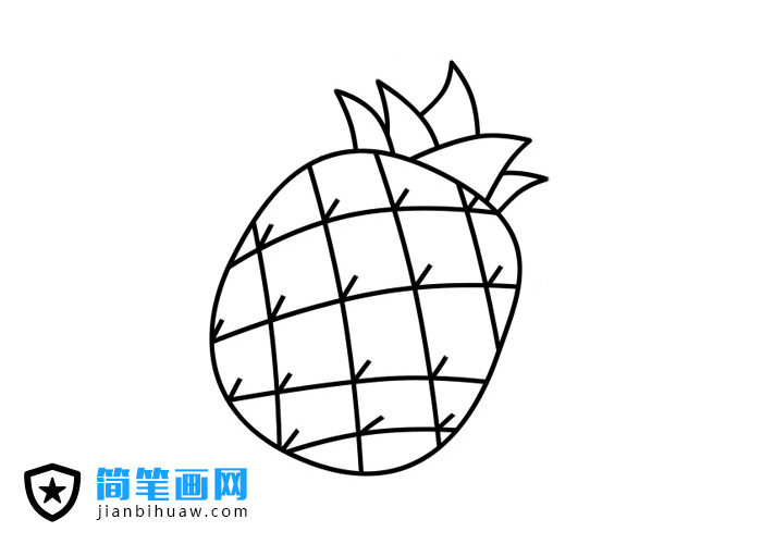 菠蘿簡筆畫的畫法和上色