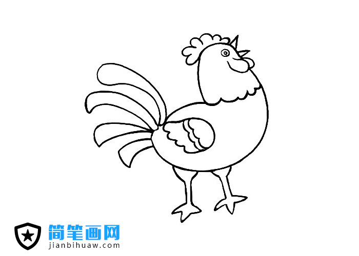 大公雞簡筆畫圖片