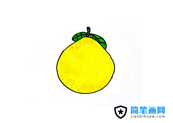 柚子簡筆畫上色圖片