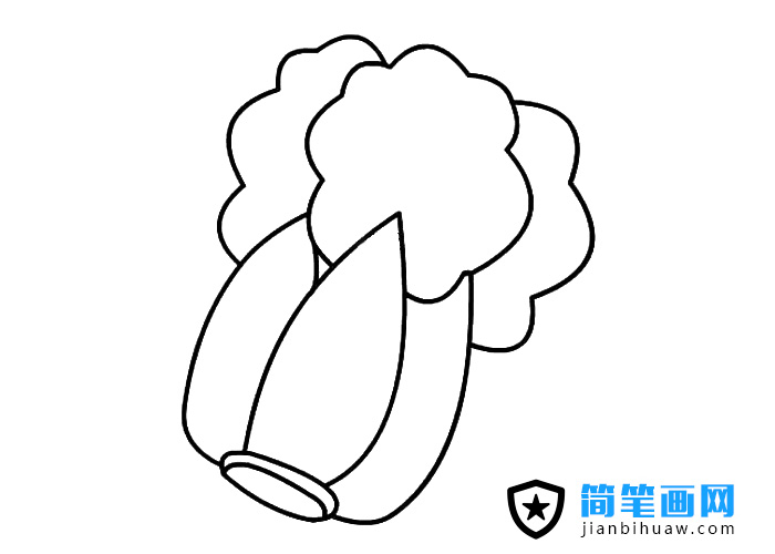 大白菜簡筆畫圖片含上色