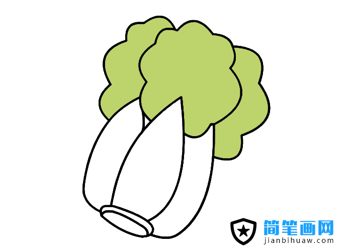 大白菜簡筆畫圖片含上色
