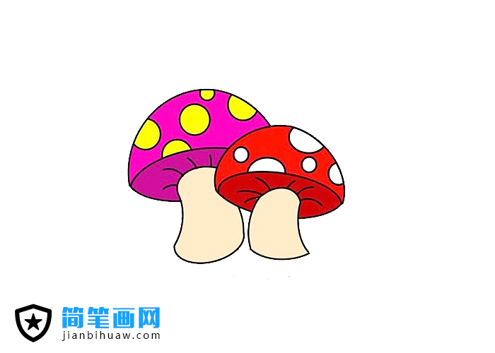 彩色的蘑菇簡筆畫圖片含上色