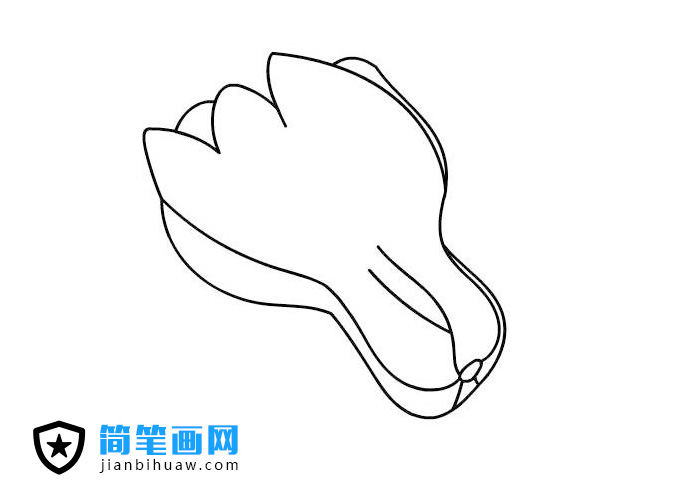 簡單又好看的小青菜簡筆畫圖片