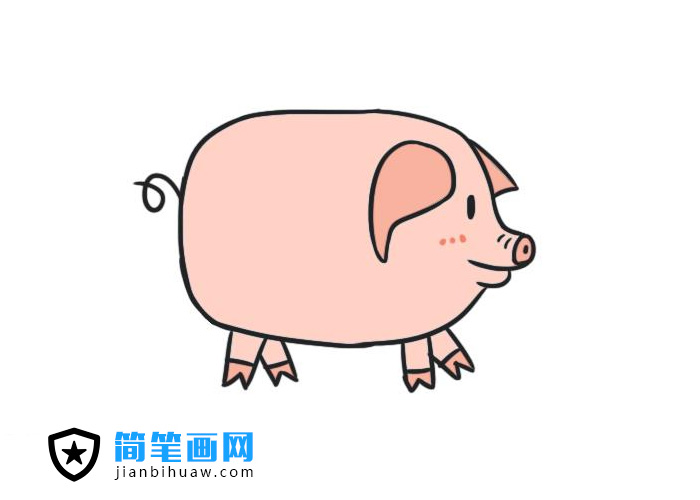 簡單好畫可愛的小豬簡筆畫圖片