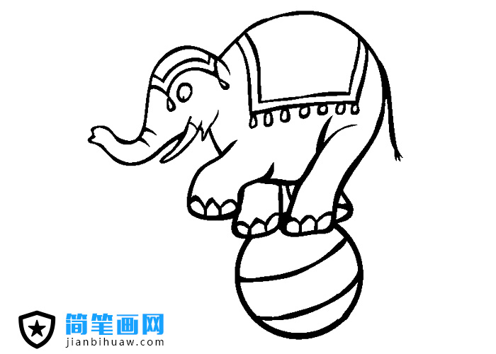 馬戲團大象踩著球的簡筆畫圖片
